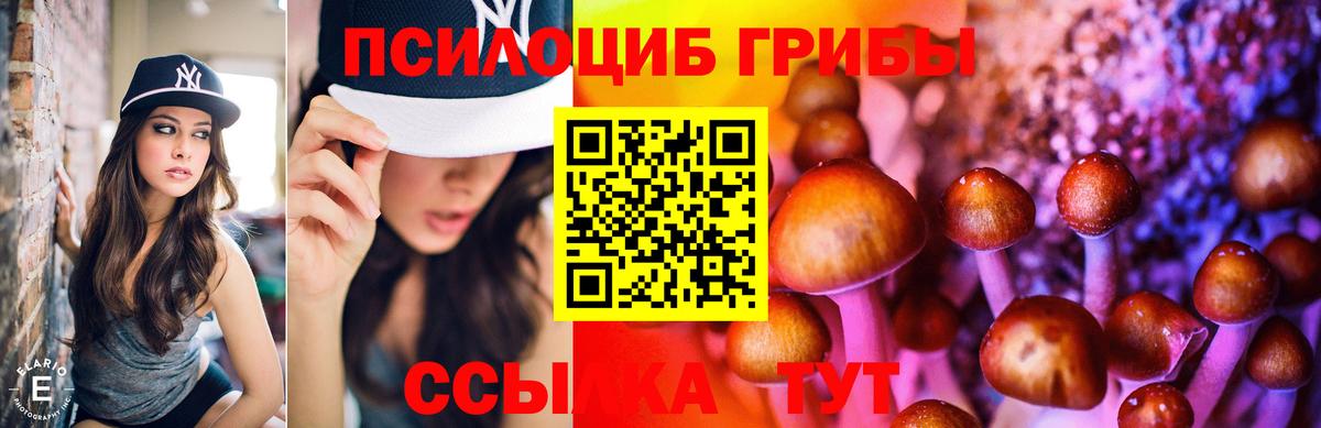 Псилоцибиновые грибы Psilocybe  Псилоцибиновые грибы мухоморы  Коммунар  Вход с VPN 
